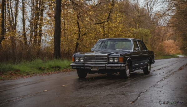 A motor vehicle in the heart of a beautiful day