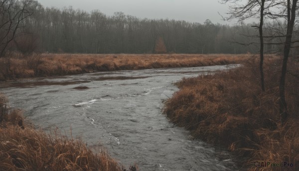 outdoors,sky,day,cloud,water,tree,no humans,grass,nature,scenery,forest,reflection,road,bare tree,river,landscape,fog,grey sky,cloudy sky,snow,field