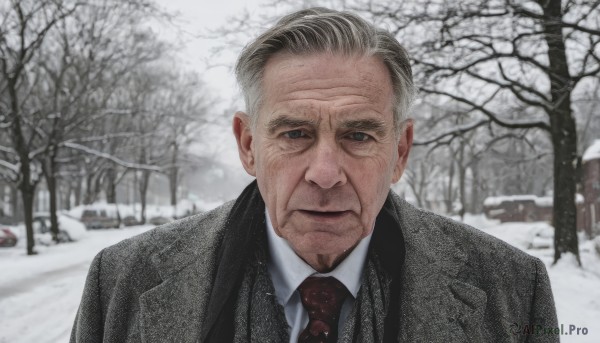 solo,looking at viewer,shirt,1boy,closed mouth,jacket,white shirt,upper body,grey hair,male focus,outdoors,necktie,collared shirt,black eyes,tree,coat,black jacket,facial hair,formal,suit,red necktie,ground vehicle,motor vehicle,snow,realistic,car,old,old man,bare tree,photo background,short hair,day,blurry,blurry background,expressionless,portrait,snowing,winter,grey sky,wrinkled skin