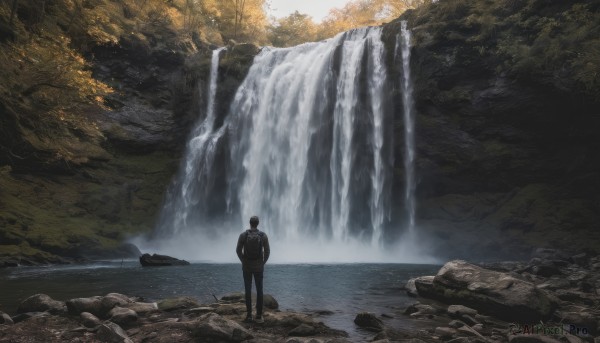 solo, 1boy, standing, male focus, outdoors, water, from behind, tree, nature, scenery, rock, river, waterfall