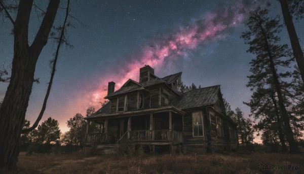 outdoors,sky,cloud,tree,no humans,window,night,grass,building,star (sky),nature,night sky,scenery,forest,starry sky,door,house,bare tree,plant,rope,shrine,milky way