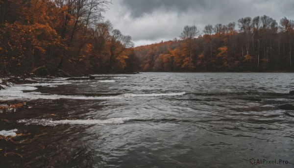 outdoors,sky,day,cloud,water,tree,no humans,cloudy sky,nature,scenery,snow,forest,bare tree,river,landscape,grey sky,winter,overcast