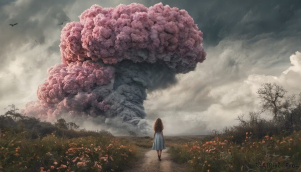 The wonder of a female in a picturesque outdoors