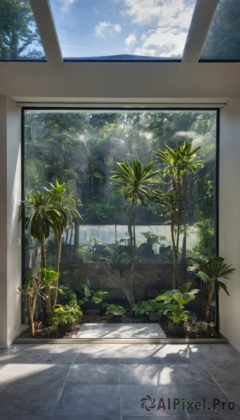 outdoors,sky,day,cloud,indoors,tree,blue sky,no humans,window,shadow,ocean,sunlight,cloudy sky,plant,scenery,light rays,palm tree,potted plant,shade,sunbeam,signature,leaf,tiles,tile floor