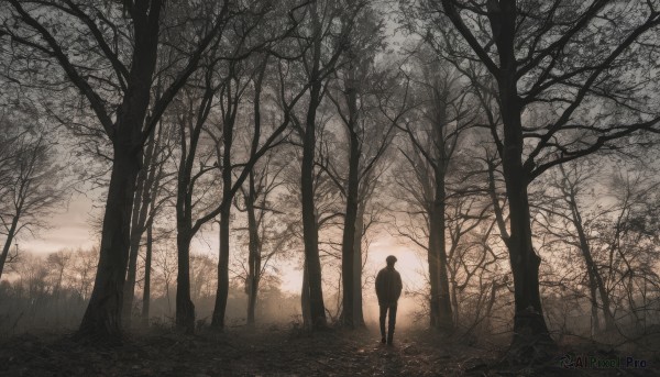 Image of a male in a fresh sunset outdoors