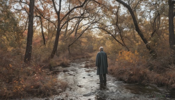 The beauty of a male set in a enchanting day
