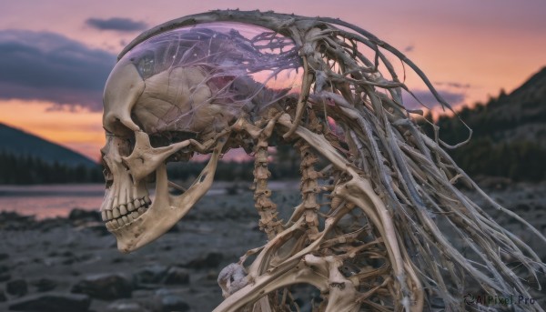 outdoors,sky,cloud,blurry,tree,no humans,depth of field,blurry background,scenery,science fiction,skull,sunset,monster,skeleton,bone,spine,solo,water,cloudy sky,nature,mountain,ribs