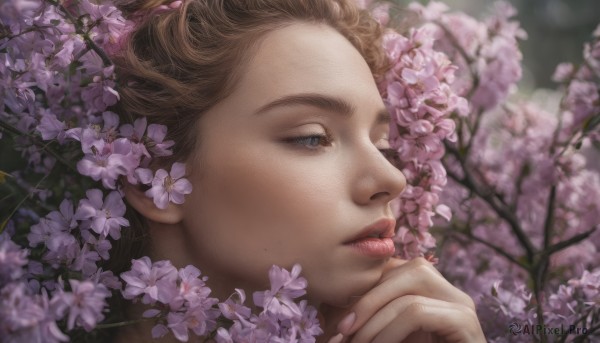 A charming cherry blossoms featuring a female