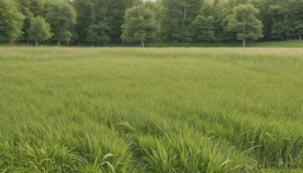 A landscape in the heart of a beautiful day