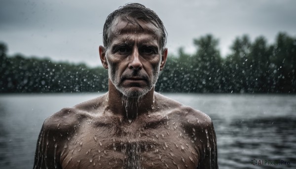 solo,looking at viewer,black hair,1boy,closed mouth,collarbone,upper body,male focus,outdoors,water,blurry,black eyes,tree,wet,blurry background,facial hair,parody,nature,beard,snow,rain,meme,realistic,mustache,wet hair,manly,chest hair,grey sky,short hair,sky,muscular,depth of field,shaded face,topless male,wrinkled skin