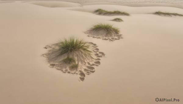 The timeless beauty of a abstract in a tranquil background
