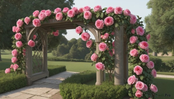 flower,outdoors,sky,day,tree,blue sky,no humans,rose,grass,plant,building,nature,scenery,pink flower,fence,road,bush,pink rose,pillar,path,arch,garden,cloud,shadow