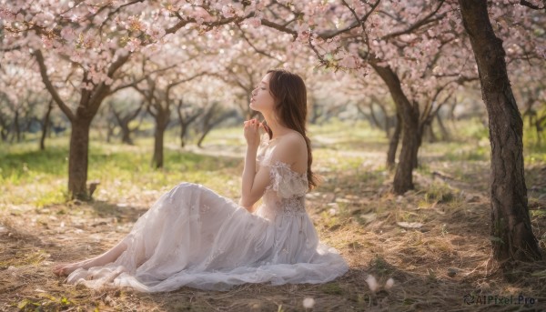 A female framed by the beauty of a calm day