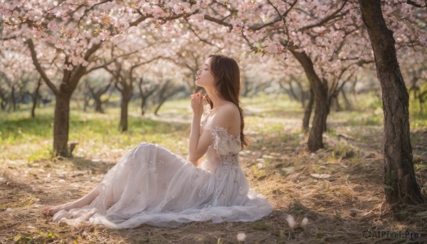 1girl, solo, long hair, brown hair, dress, bare shoulders, sitting, closed eyes, flower, outdoors, barefoot, day, white dress, blurry, tree, see-through, petals, profile, own hands together, grass, cherry blossoms, nature, realistic, yokozuwari, on ground