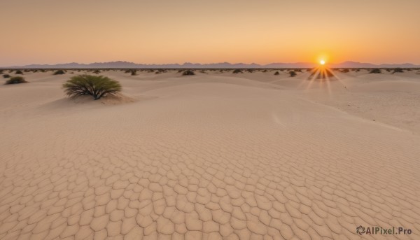 outdoors,sky,cloud,water,tree,no humans,ocean,beach,grass,scenery,sunset,sand,sun,horizon,shore,orange sky,desert,plant,lens flare,palm tree,gradient sky