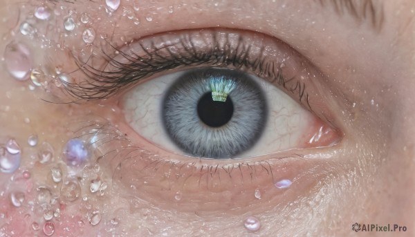 solo,looking at viewer,blue eyes,1boy,black eyes,eyelashes,close-up,1other,reflection,bubble,water drop,eye focus,1girl,bangs,yellow eyes,petals