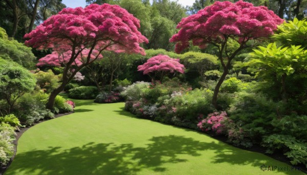 flower,outdoors,sky,day,tree,no humans,traditional media,sunlight,grass,cherry blossoms,nature,scenery,forest,rock,bush,mushroom,dappled sunlight,path,spring (season),cloud,blue sky,shadow,plant,road,green theme,landscape