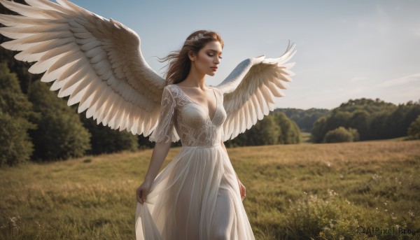 1girl,solo,long hair,breasts,brown hair,dress,cleavage,medium breasts,closed mouth,standing,collarbone,closed eyes,outdoors,wings,sky,day,signature,white dress,blurry,tree,lips,see-through,makeup,grass,tiara,nature,feathered wings,angel wings,realistic,skirt hold,white wings,angel,field,brown eyes,flower,short sleeves,artist name,scenery,backlighting