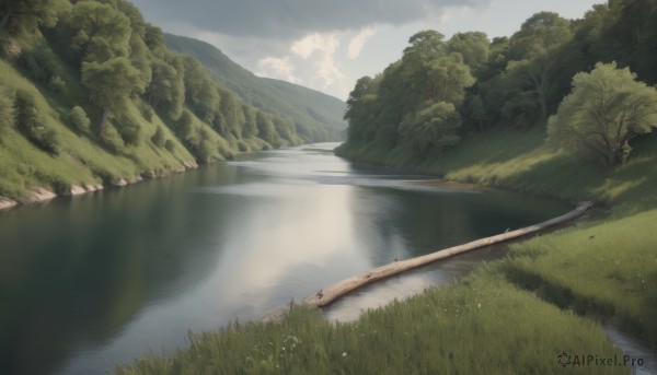 A landscape portrayed in a refreshing day