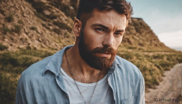 solo,short hair,brown hair,shirt,black hair,1boy,jewelry,closed mouth,jacket,white shirt,upper body,male focus,outdoors,open clothes,day,necklace,blurry,black eyes,looking to the side,blurry background,facial hair,thick eyebrows,denim,beard,mature male,realistic,mustache,manly,chest hair,photo background,denim jacket,sky,collared shirt,muscular,depth of field,blue shirt,portrait