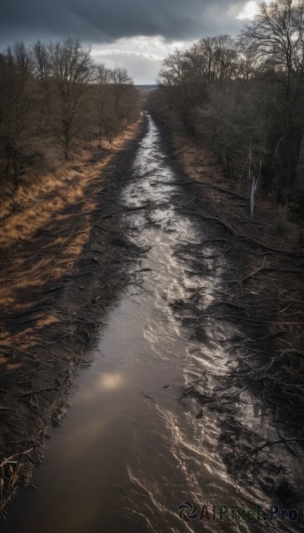 outdoors,sky,day,cloud,water,tree,no humans,sunlight,cloudy sky,nature,scenery,forest,reflection,light rays,bare tree,river,landscape,lake,grass,road,puddle,path