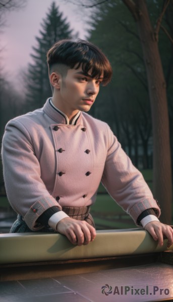 solo,short hair,bangs,black hair,long sleeves,1boy,brown eyes,closed mouth,upper body,male focus,outdoors,blurry,black eyes,tree,lips,looking to the side,buttons,blurry background,nature,forest,realistic,nose,double-breasted,male child,artist name,thick eyebrows,undercut