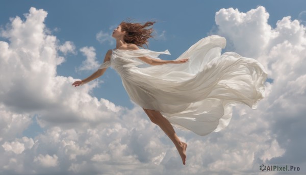 1girl, solo, long hair, brown hair, dress, outdoors, sky, barefoot, day, cloud, white dress, no humans, cloudy sky, scenery