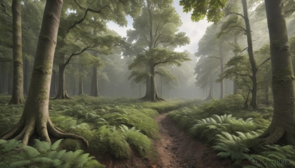 A landscape showcased in a bold day