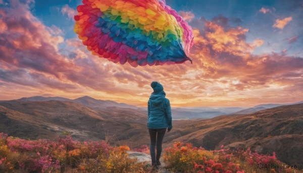 1girl, solo, standing, jacket, flower, outdoors, sky, pants, cloud, hood, from behind, hoodie, black pants, cloudy sky, scenery, hooded jacket, sunset, mountain, facing away, field, landscape, colorful