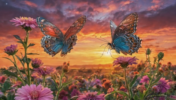 flower, outdoors, sky, cloud, blurry, no humans, depth of field, animal, cloudy sky, bug, butterfly, scenery, sunset, field, twilight, evening, orange sky