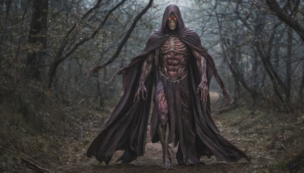 solo,looking at viewer,red eyes,1boy,navel,closed mouth,standing,full body,male focus,outdoors,barefoot,hood,cape,tree,torn clothes,tattoo,muscular,glowing,abs,muscular male,nature,glowing eyes,cloak,pelvic curtain,hood up,forest,walking,hooded cloak,ribs,loincloth,black cloak,glowing eye,skeleton,horror (theme)