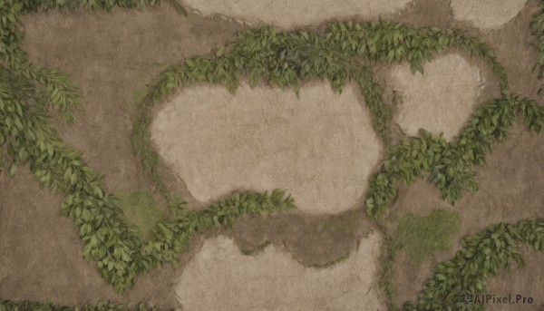 outdoors,day,no humans,leaf,from above,traditional media,grass,plant,nature,scenery,moss,tree,shadow