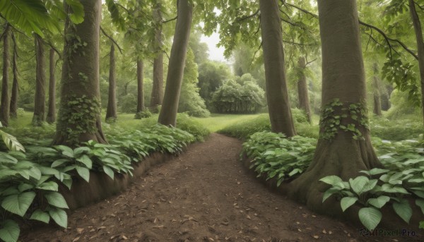 outdoors,day,tree,dutch angle,no humans,leaf,sunlight,grass,plant,nature,scenery,forest,road,bush,dappled sunlight,green theme,path,landscape