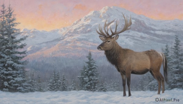 outdoors,sky,black eyes,tree,no humans,animal,traditional media,nature,scenery,snow,forest,snowing,mountain,painting (medium),antlers,watercolor (medium),animal focus,winter,bare tree,gradient sky,deer,reindeer,pine tree,solo,looking at viewer,orange sky,red sky