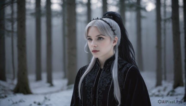 1girl,solo,long hair,blue eyes,black hair,hair ornament,dress,jewelry,closed mouth,upper body,ponytail,white hair,multicolored hair,outdoors,blurry,black dress,two-tone hair,tree,lips,grey eyes,depth of field,blurry background,looking away,chinese clothes,tiara,nature,snow,forest,snowing,realistic,winter,grey hair,high ponytail,nose