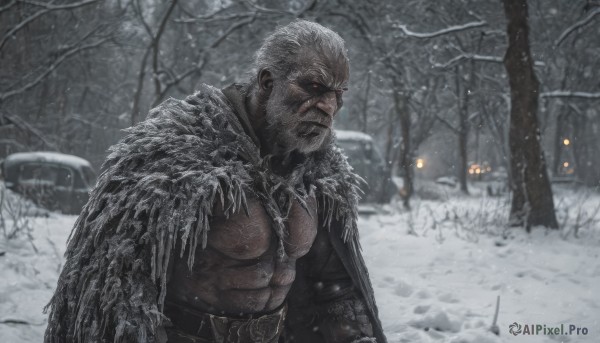 solo,short hair,red eyes,1boy,nipples,upper body,white hair,male focus,outdoors,belt,cape,blurry,tree,muscular,glowing,facial hair,scar,abs,pectorals,muscular male,ground vehicle,nature,bara,glowing eyes,motor vehicle,beard,scar on face,snow,forest,large pectorals,snowing,mature male,mustache,scar across eye,car,manly,old,chest hair,old man,bare tree,closed mouth,weapon,grey hair,sword,armor,looking to the side,cloak,topless male,winter