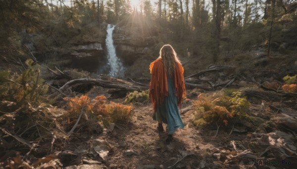 1girl,solo,long hair,brown hair,dress,standing,outdoors,barefoot,day,water,from behind,cape,tree,sunlight,plant,nature,scenery,forest,light rays,rock,facing away,sunbeam,ruins,river,waterfall,moss,stream,torn clothes,animal,cat,cloak,red cape,red cloak