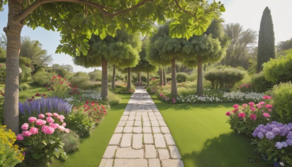 A garden captured beautifully in a inviting day