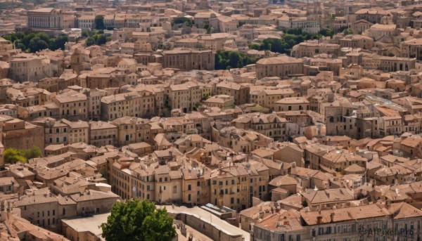 outdoors,day,tree,no humans,from above,building,scenery,city,cityscape,ruins