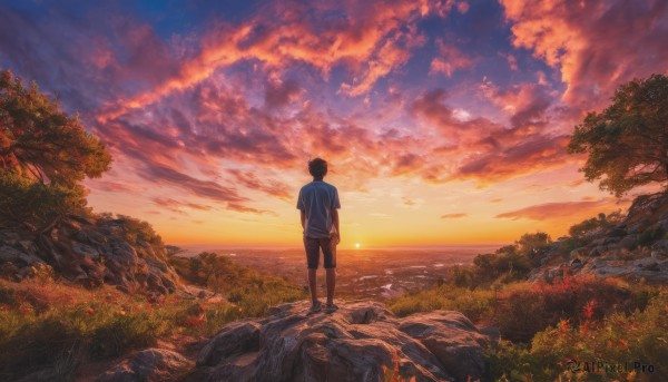 The wonder of a male in a bold sunset outdoors
