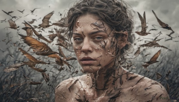 1girl,solo,looking at viewer,short hair,blue eyes,brown hair,black hair,1boy,closed mouth,male focus,outdoors,parted lips,blurry,tree,lips,grey eyes,bird,portrait,nature,realistic,bare tree,grey sky,upper body,sky,cloud,animal,cloudy sky,wind,crow,flock