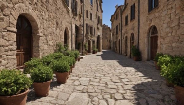 outdoors,sky,day,tree,blue sky,no humans,window,shadow,plant,building,scenery,door,potted plant,road,bush,wall,street,flower pot,sunlight,shade,architecture,arch,pavement