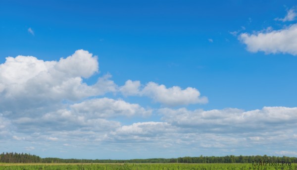 outdoors,sky,day,cloud,tree,blue sky,no humans,cloudy sky,grass,nature,scenery,forest,field,summer,cumulonimbus cloud