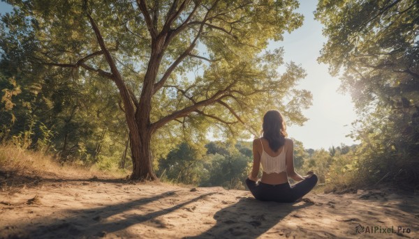 1girl, solo, long hair, black hair, sitting, outdoors, sky, day, pants, dark skin, from behind, dark-skinned female, tree, blue sky, crop top, shadow, sunlight, scenery, facing away, indian style