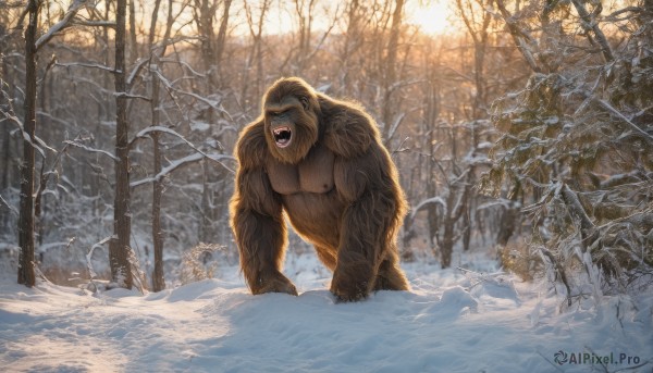 open mouth,outdoors,teeth,day,tree,no humans,fangs,sunlight,nature,scenery,snow,forest,snowing,realistic,winter,bare tree,monkey,solo,all fours,monster,horror (theme)