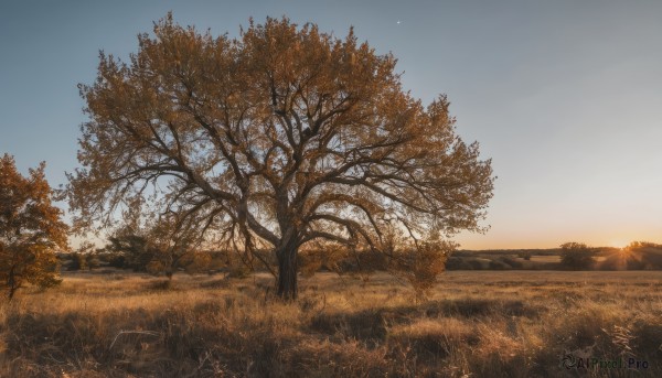 Image of a landscape in a peaceful sunset day