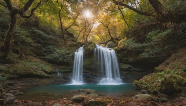 outdoors, water, tree, no humans, sunlight, nature, scenery, forest, rock, river, waterfall, stream