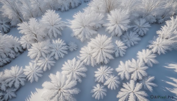 monochrome,flower,outdoors,water,no humans,shadow,grass,white flower,nature,scenery,reflection,blue theme,field,still life,tree,leaf,from above,plant,branch