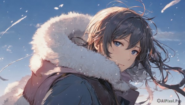 1girl,solo,long hair,looking at viewer,smile,bangs,blue eyes,black hair,hair between eyes,closed mouth,jacket,upper body,outdoors,parted lips,sky,day,cloud,hood,from side,blue sky,coat,looking to the side,fur trim,floating hair,hood down,feathers,light smile,blue jacket,wind,messy hair,portrait,hooded jacket,fur collar,winter clothes,fur-trimmed jacket,fur-trimmed coat,blue coat,hooded coat,fur-trimmed hood,1boy,male focus,scarf