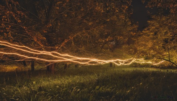 solo,outdoors,tree,no humans,grass,nature,scenery,forest,fantasy,electricity,bare tree,lightning,leaf,traditional media,plant,branch,dark,landscape